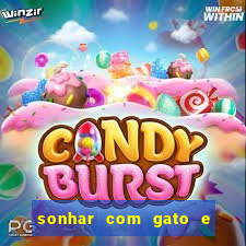 sonhar com gato e cachorro jogo do bicho